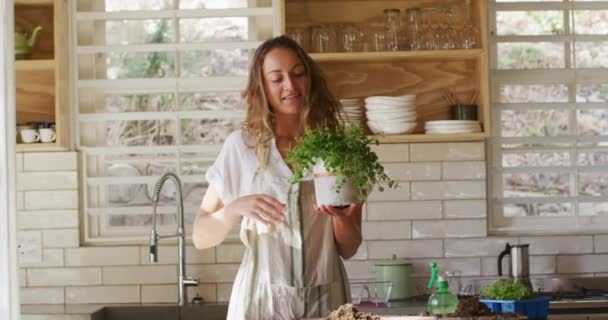 站在阳光明媚的茅屋厨房里 带着盆栽的白人妇女的画像 健康的生活 接近大自然在离网的农村家庭 — 图库视频影像