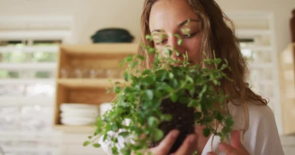 Mujer Caucásica Feliz Olor Planta Pie Cocina Cabaña Vida Sana — Vídeos de Stock