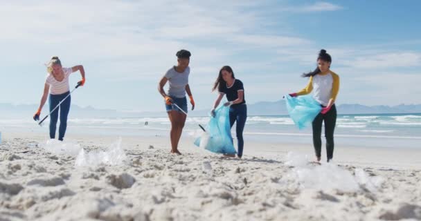 Diverse Group Female Friends Putting Rubbish Refuse Sacks Beach Eco — Stock Video