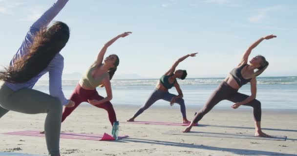 Grupp Olika Kvinnliga Vänner Som Utövar Yoga Stranden Hälsosam Aktiv — Stockvideo