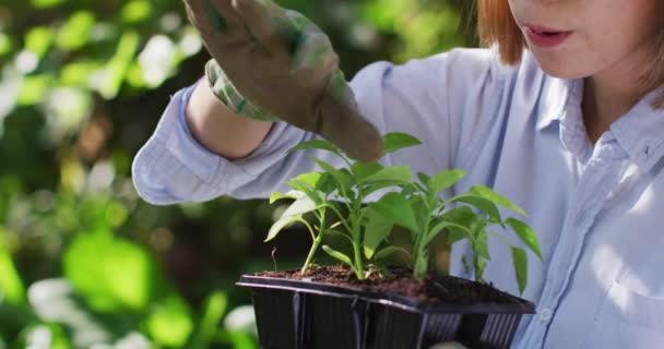 Asijské Ženy Zahradničení Usmívání Slunečného Dne Doma Izolaci Během Uzamčení — Stock video
