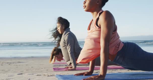 Grupo Diversas Amigas Practicando Yoga Estirándose Playa Estilo Vida Activo — Vídeo de stock