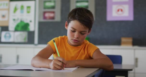 教室に座ってノートを作成し カメラを見て幸せな混合レースの少年の肖像画 夏の小学校の子どもたちは — ストック動画