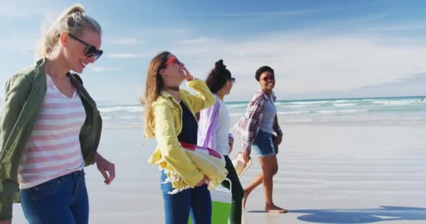 Fröhliche Gruppe Unterschiedlicher Freundinnen Die Spaß Haben Und Strand Spazieren — Stockvideo