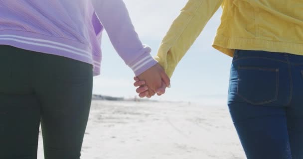 Midsection Diverse Female Gay Couple Holding Hands Walking Beach Female — Stock Video
