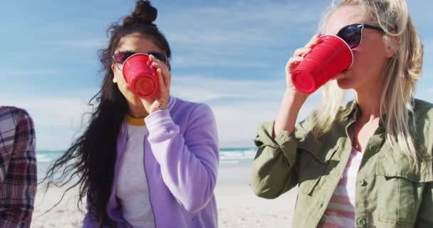 Fröhliche Gruppe Unterschiedlicher Freundinnen Die Spaß Haben Und Strand Picknicken — Stockvideo