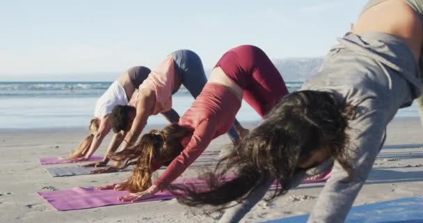 Grupo Diversas Amigas Practicando Yoga Playa Estilo Vida Activo Saludable — Vídeo de stock