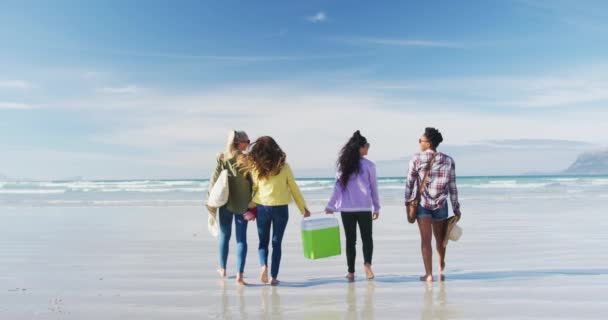 Fröhliche Gruppe Unterschiedlicher Freundinnen Die Spaß Haben Und Strand Spazieren — Stockvideo