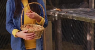 Bahçedeki kümeste elinde yumurta sepeti olan gülümseyen Asyalı kız. Mutlu aile, karantina süresince evde tecrit altında..