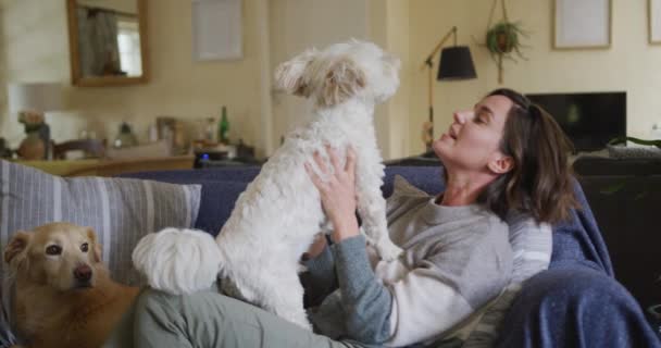 Gülümseyen Beyaz Kadın Evdeki Kanepede Oturan Köpeğini Öpüyor Sarılıyor Yaşam — Stok video