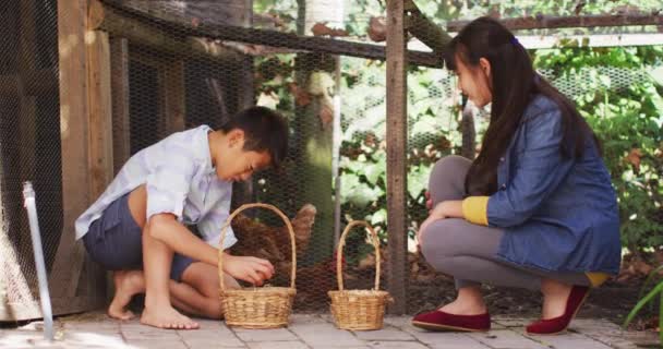 Feliz Irmão Asiático Irmã Com Cestas Coletando Ovos Galinheiro Jardim — Vídeo de Stock