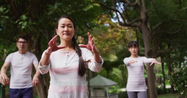息子と娘と一緒に庭で運動をし 一緒に太極拳を練習する幸せなアジアの両親 幸せな家族隔離された家で隔離された時 — ストック動画