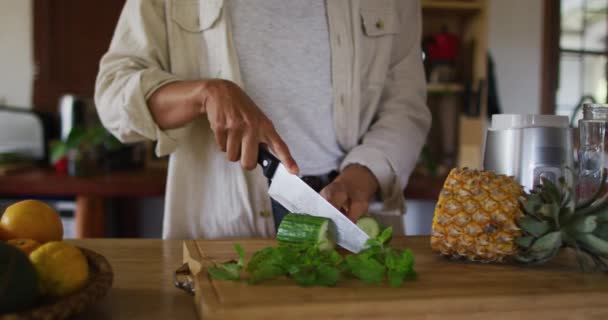 Środkowa Część Mieszanej Rasy Kobieta Siekanie Owoców Warzyw Kuchni Domowej — Wideo stockowe