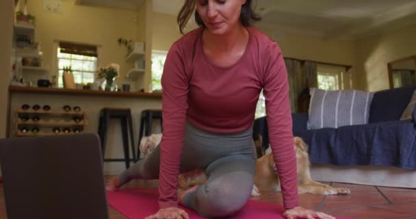 Femme Blanche Faisant Exercice Avec Son Chien Compagnie Aide Ordinateur — Video