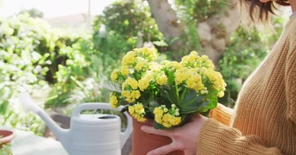 Smiling Caucasian Woman Repotting Yellow Flowers Sunny Garden Domestic Life — Vídeos de Stock
