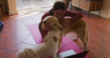 Beyaz kadın evde dizüstü bilgisayar kullanarak evcil köpeklerini çalıştırıyor ve okşuyor. Yaşam tarzı, fitness, evcil hayvan, arkadaşlık ve hayvan arkadaşlığı kavramı.