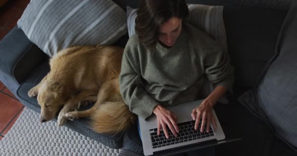 隣のソファでペットの犬と一緒に自宅からノートパソコンを使って白人女性を笑顔にする ペットの友情国内生活家庭の概念から — ストック動画