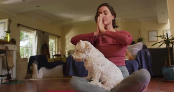 Mulher Branca Praticando Ioga Com Seu Cão Estimação Casa Estilo — Vídeo de Stock