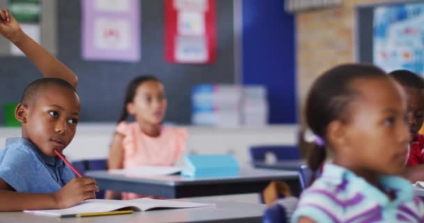 授業中に質問に答えるために手を挙げて教室に座っている多様な学童たち 小学校の子供たちは — ストック動画