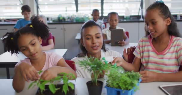 Diverso Grupo Escolares Profesores Con Plantas Aula Durante Lección Estudios — Vídeo de stock