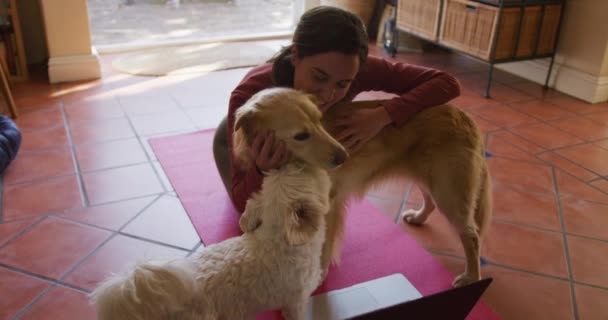 Mulher Caucasiana Exercitando Acariciando Seus Cães Estimação Usando Laptop Casa — Vídeo de Stock