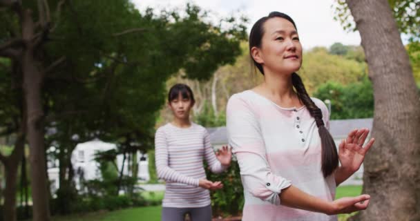 Mutlu Asyalı Anne Kızıyla Bahçede Egzersiz Yapıyor Tai Chi Yapıyor — Stok video