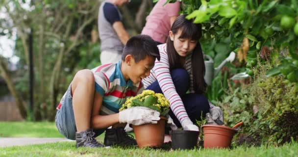 Happy Asian Brother Sister Garden Planting Flowers Talking Parents Background — Stock Video