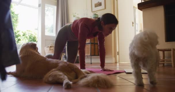 自宅のノートパソコンを使ってペット犬と一緒に運動する白人女性 ライフスタイルフィットネスペット友情動物の友情の概念 — ストック動画