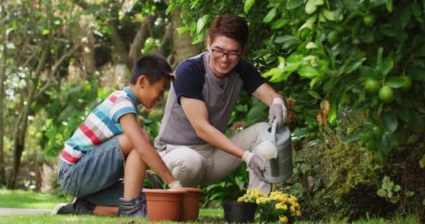 Heureux Père Asiatique Fils Dans Jardin Planter Des Fleurs Parler — Video