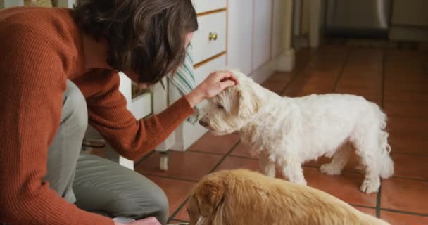 笑顔の白人女性は 自宅の台所でボウルから食べるペット犬を撫でていました ライフスタイルペット友情動物の友情の概念 — ストック動画