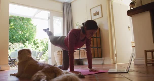 在家里用笔记本电脑和她的宠物狗一起锻炼的白人妇女 生活方式 伴侣及动物友谊概念 — 图库视频影像