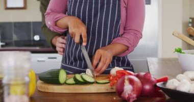 Midsection of happy diverse couple preparing food in kitchen, chopping vegetables and embracing. spending free time together at home.