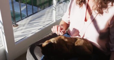 Güneşli oturma odasında oturup kediyi okşayan ve pencereden dışarı bakan son sınıf beyaz kadın. emeklilik yaşam tarzı evde.