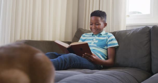 Feliz Chico Afroamericano Sentado Sofá Leyendo Libro Sonriendo Gato Mascota — Vídeos de Stock