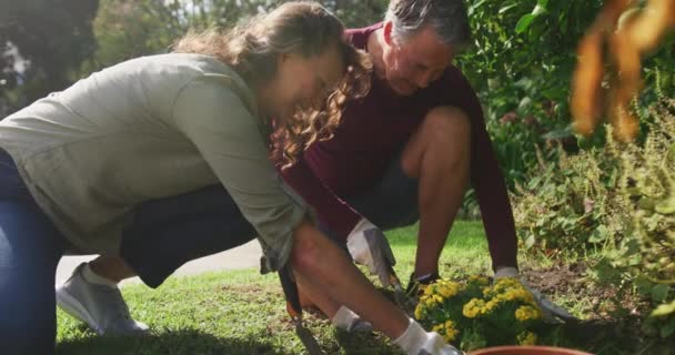 Feliz Pareja Caucásica Mayor Jardinería Atendiendo Las Plantas Sonriendo Jardín — Vídeo de stock