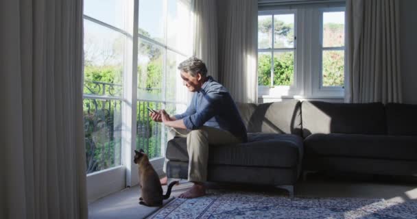 スマートフォンを使った日当たりの良いリビングルームに座っている幸せな高齢者の白人男性と猫を撫でて 家庭での退職生活 — ストック動画