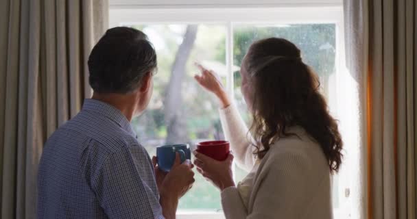 Rückansicht Eines Älteren Kaukasischen Paares Das Aus Dem Fenster Wohnzimmer — Stockvideo