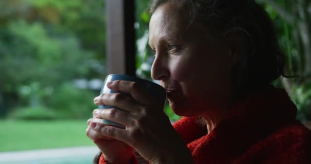 Mulher Caucasiana Sênior Pensativa Bebendo Café Olhando Pela Janela Estilo — Vídeo de Stock