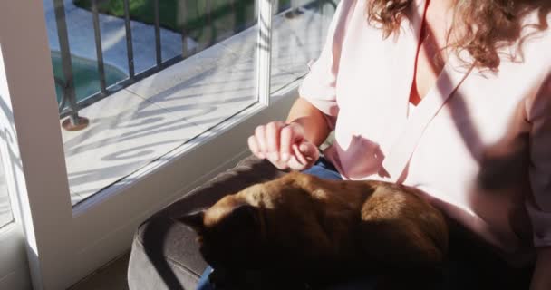 Mulher Caucasiana Sênior Feliz Sentada Sala Estar Ensolarada Acariciando Gato — Vídeo de Stock
