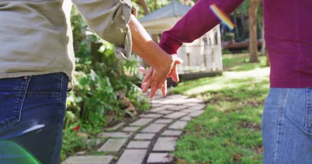 Vue Arrière Milieu Couple Caucasien Senior Tenant Main Marchant Dans — Video