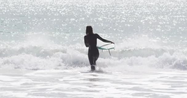 混合人種の女性の海にサーフボードを運ぶ歩いての背面ビュー 自然に近い健康的な活動的なライフスタイル — ストック動画