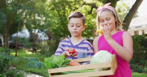 Gülümseyen Beyaz Erkek Kız Kardeşler Bahçede Ellerinde Sebze Kutusuyla Onlarla — Stok video