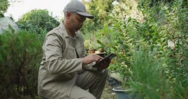 Bahçe merkezinde tablet kullanan melez erkek bahçıvan. Bonsai çocuk yuvasında çalışmak, küçük bir uzmanlık alanı..