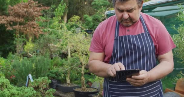 Biały Mężczyzna Ogrodnik Sprawdza Drzewo Używa Tabletu Centrum Ogrodu Praca — Wideo stockowe