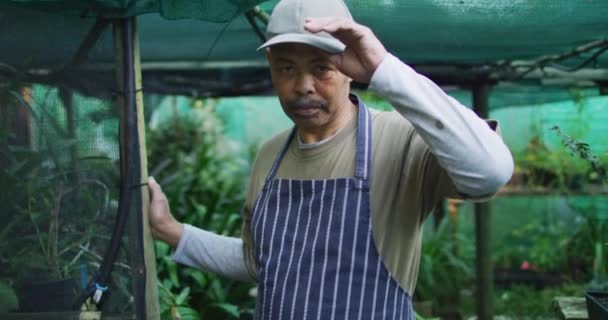 Afrikansk Amerikansk Manlig Trädgårdsmästare Tar Sig Mössan Och Tittar Kameran — Stockvideo