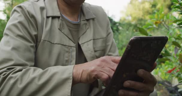 Afroameričtí Zahradníci Používají Tablet Zahradním Centru Dívají Kamery Usmívají Práce — Stock video