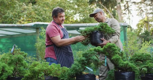 Bahçe Merkezindeki Bonsai Ağacıyla Ilgilenen Çeşitli Erkek Bahçıvanlar Bonsai Çocuk — Stok video