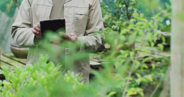 Midsection African American Male Gardener Using Tablet Garden Center Trabajar — Vídeos de Stock