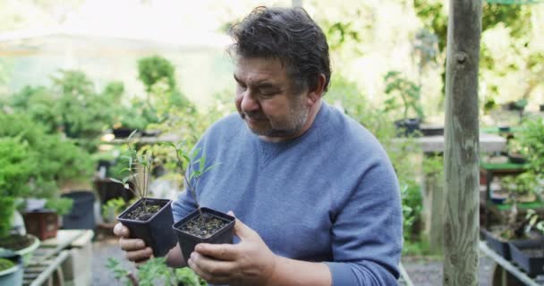 Biały Ogrodnik Sprawdza Rośliny Centrum Ogrodu Praca Szkółce Bonsai Mały — Wideo stockowe