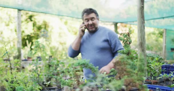 정원사가 식물을 확인하고 센터에서 스마트폰을 사용하고 있습니다 직업인 묘목장에서 일하는 — 비디오